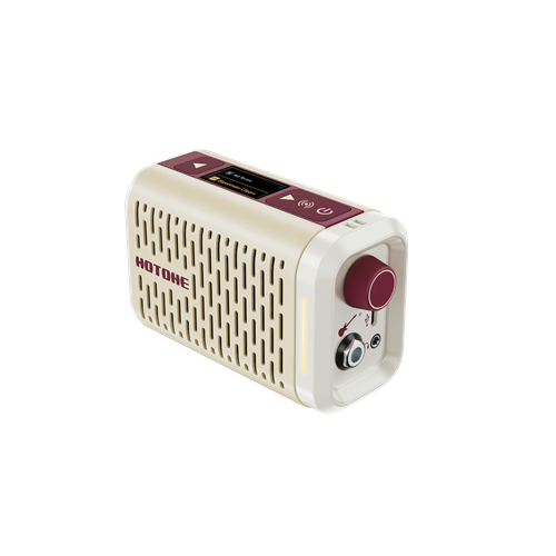 Pulze Mini_Perspective_With Screen_Hi_V01_250714